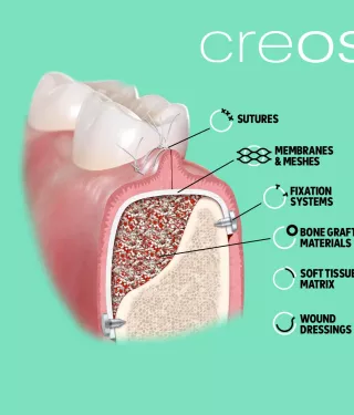 creos portfolio