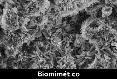 Biomimético