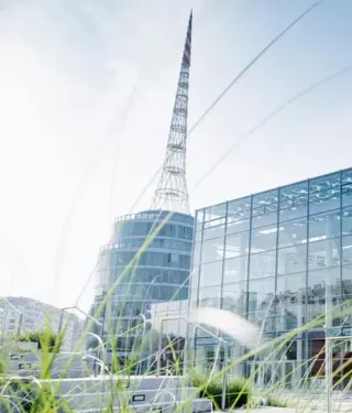 Osteology Symposium 2026