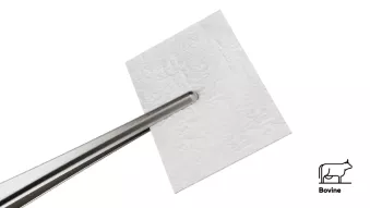 Cytoplast RTM Collagen Membrane