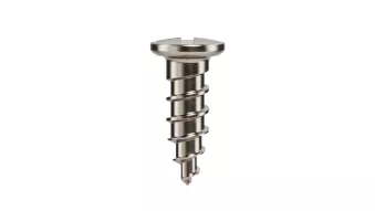  screw fixation