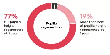 Papilla regeneration results