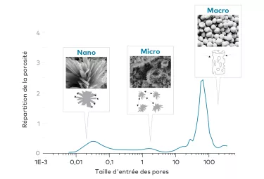 creos syntogain - Répartition de la porosité