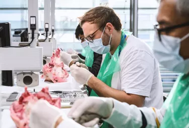 Nobel Biocare dentists learning at a training