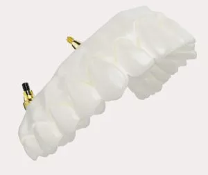 Zirconia implant bridge