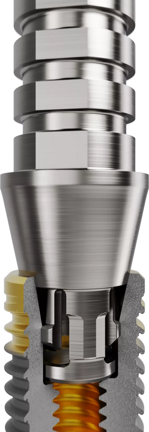 Temporary abutments