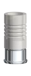 GoldAdapt Engaging Brånemark System WP