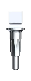 Implant Driver Wrench Adapter Brånemark System WP 12 mm
