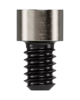Prosthetic Screw Multi-unit