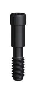 Abutment Screw NobelReplace RP/WP/6.0
