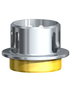 Metal Adapter Implant Bridge Lab CC RP