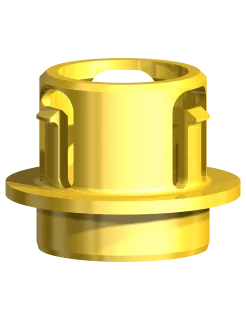Metal Adapter Implant Bridge Clinical CC NP