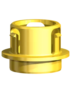 Metal Adapter Implant Bridge Clinical CC RP