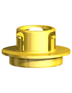 Metal Adapter Implant Bridge Clinical CC WP