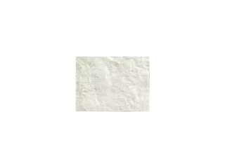 Cytoplast™ RTM Collagen Membrane 15 mm x 20 mm (2/pkg)