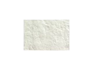 Cytoplast™ RTM Collagen Membrane 20 mm x 30 mm (2/pkg)